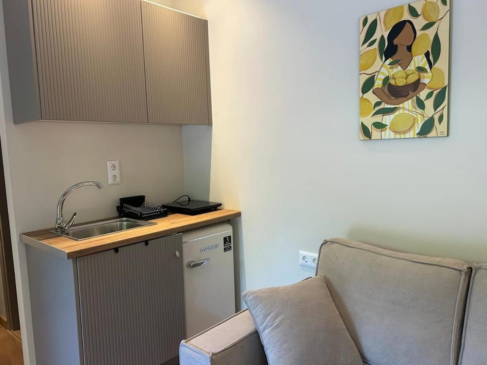 Pythagorio Living - Limone Apartment in Samos Prefecture