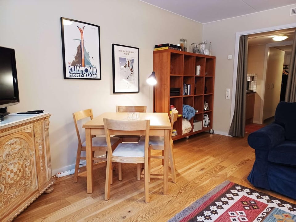 Ski Studio Near Slopes Apartment in Sweden