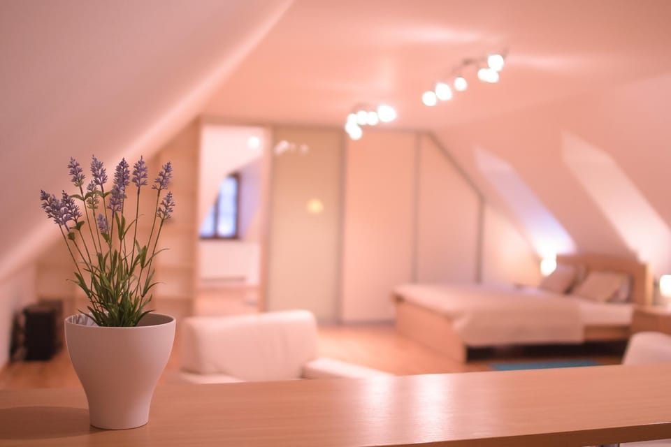 Old Town Apartment Apartment in Slovakia
