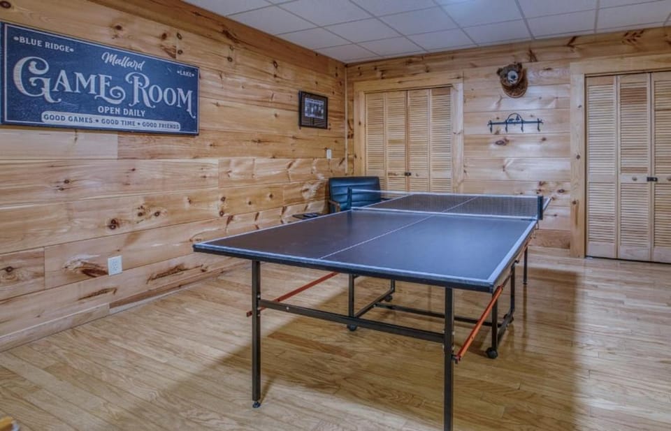 Game Room, Table tennis