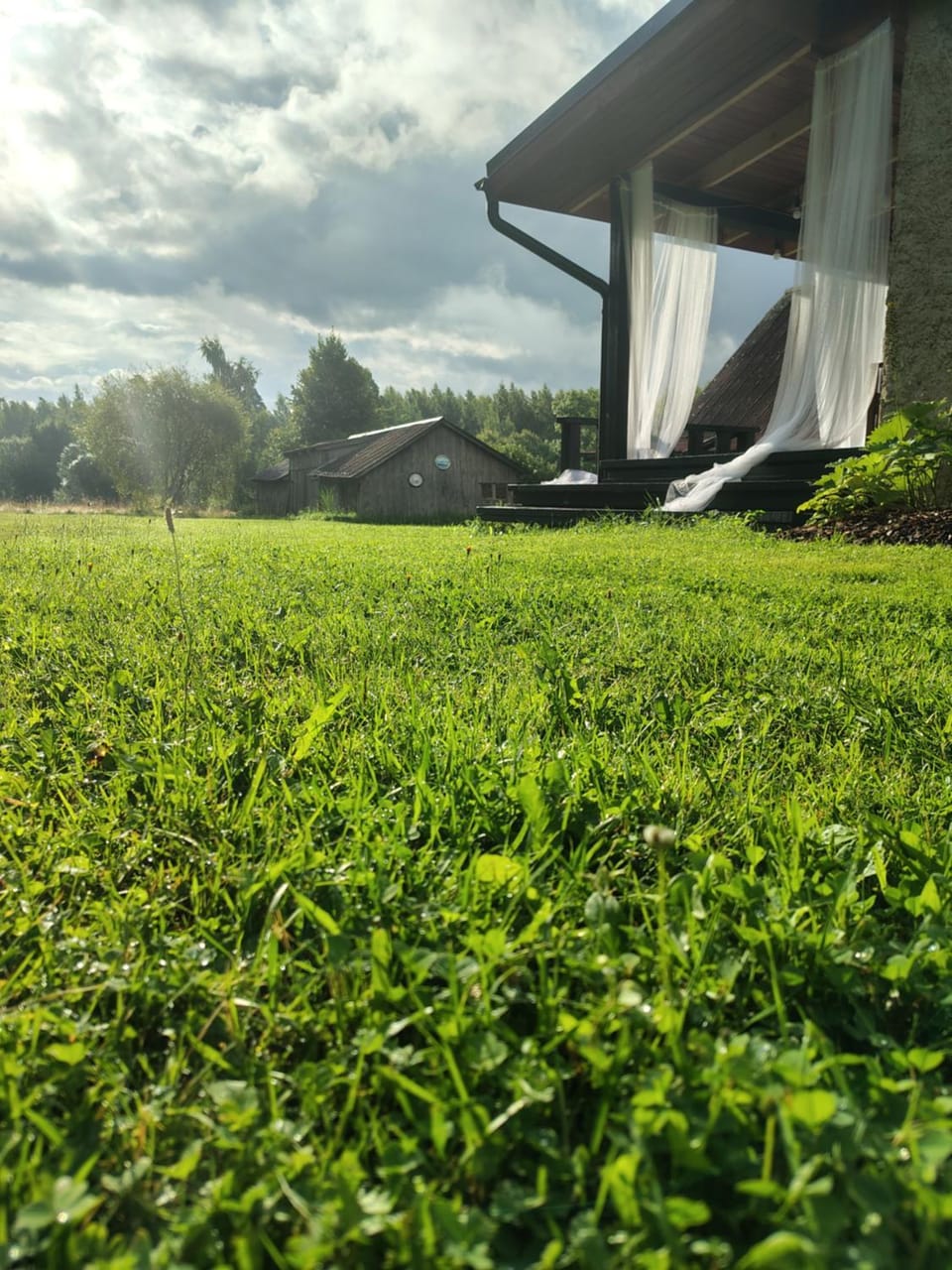 Natural landscape, Garden, Garden view