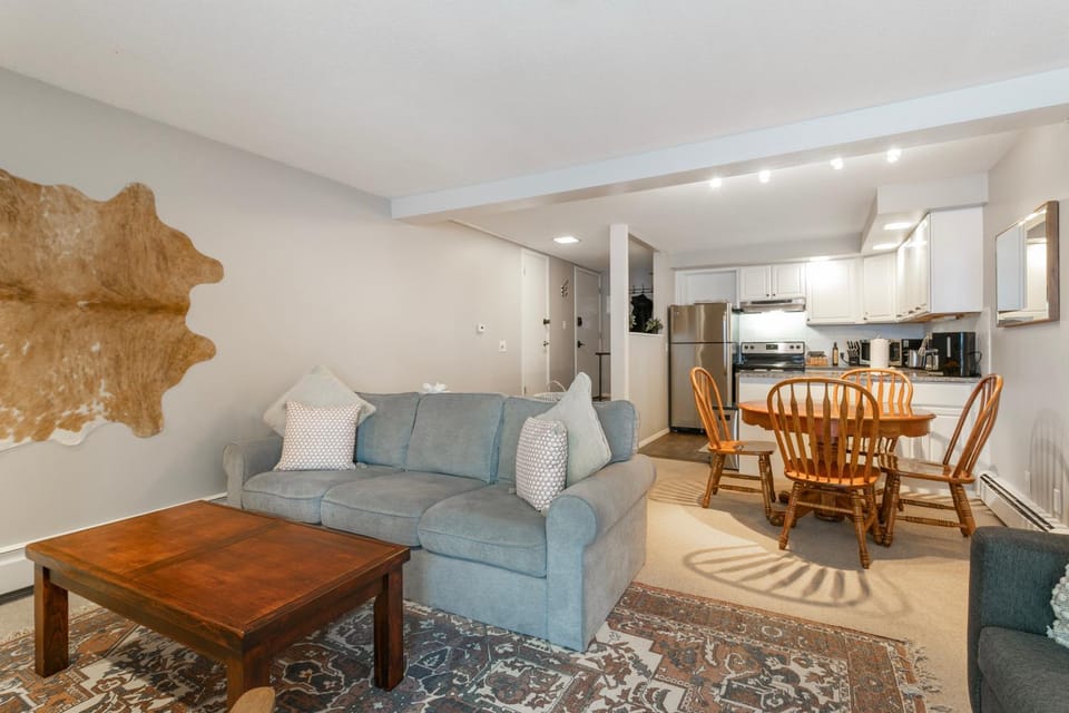 Snowlion Condos 208 Apartment in Vail