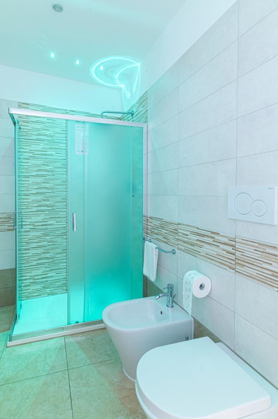 Shower, Toilet, Bathroom, bidet