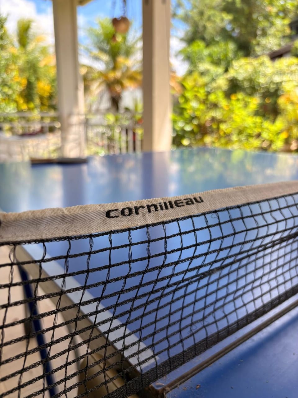 Table tennis