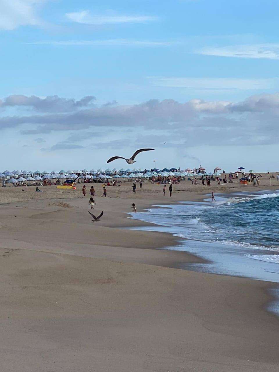 Natural landscape, Beach, Sea view