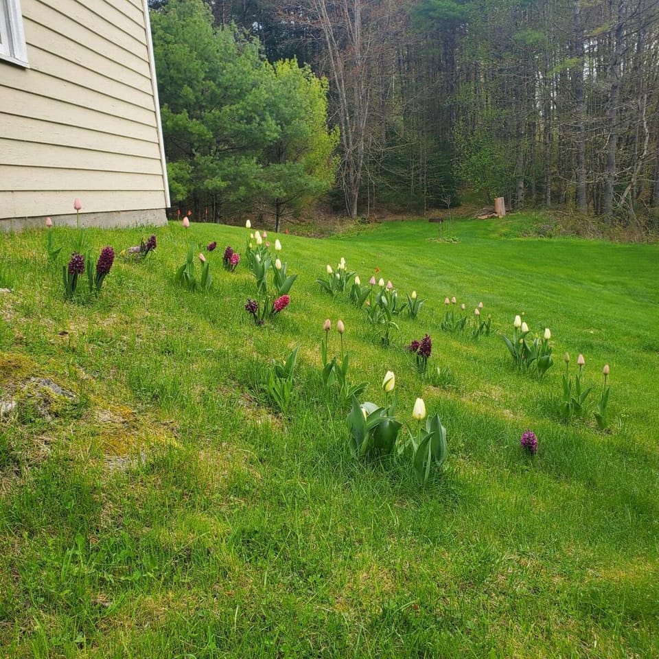 Garden, Garden