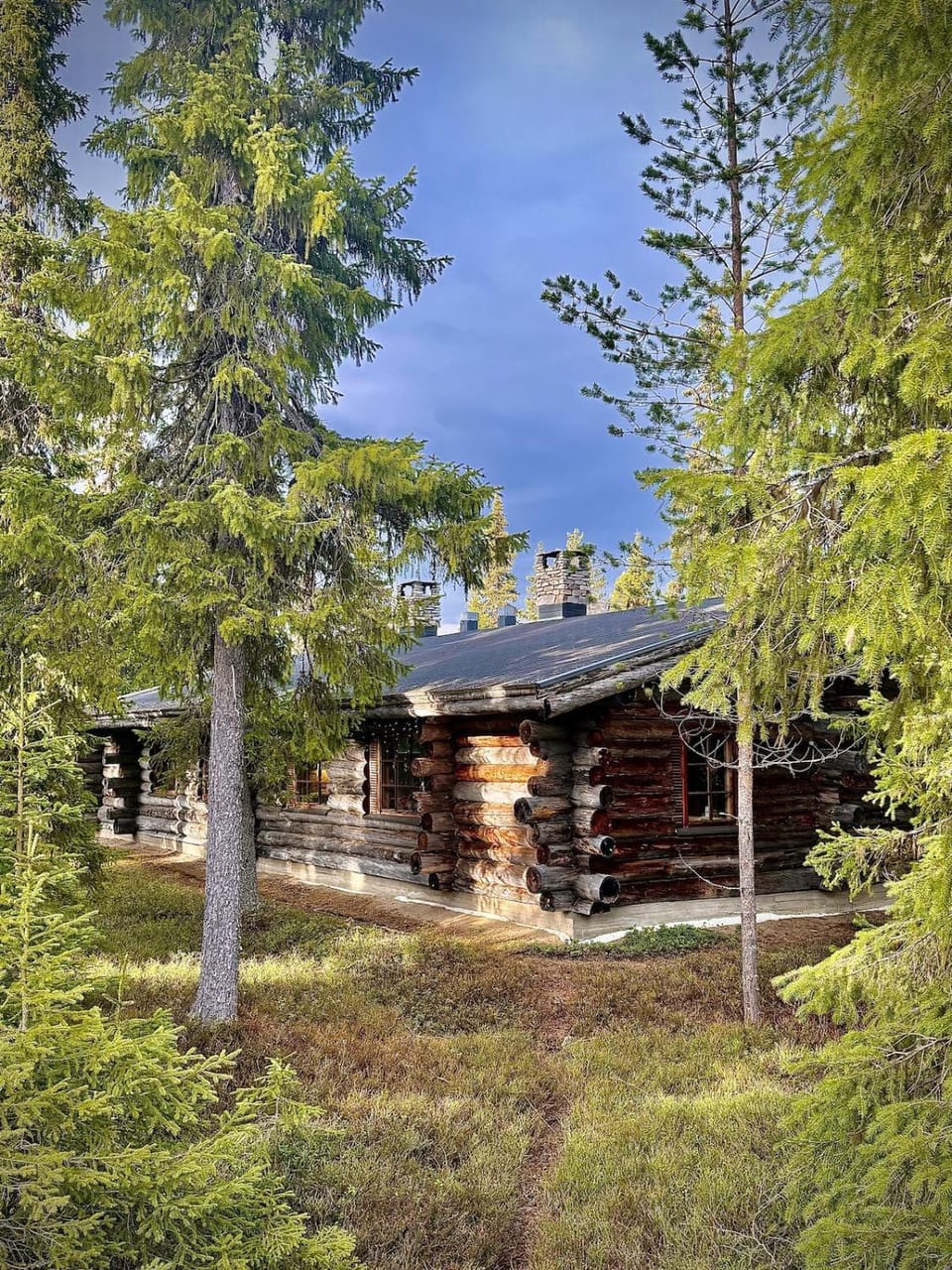Property building, Garden view