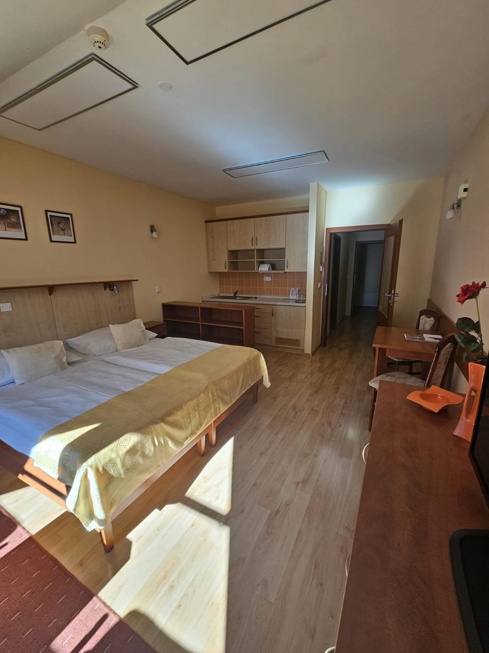 Kitchen or kitchenette, Bedroom