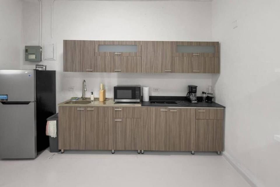 Casa Magnolia Apt 4 Santurce Multifamily House Apartment in San Juan