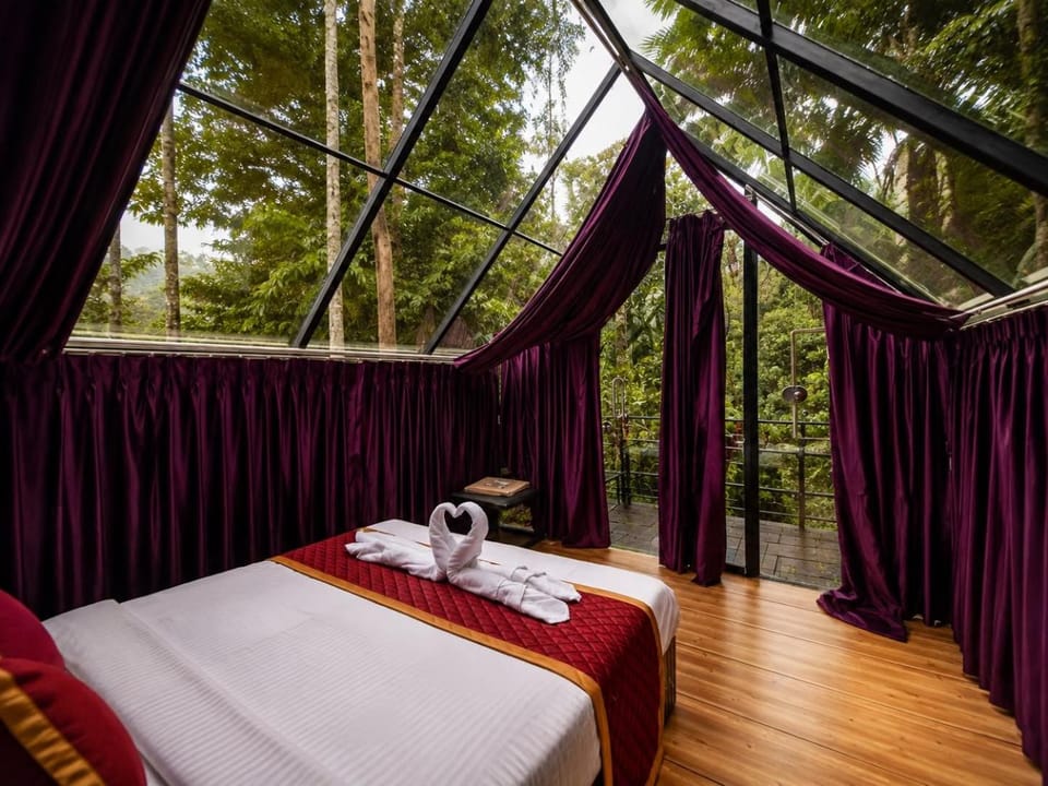 Photo of the whole room, Bedroom, Garden view