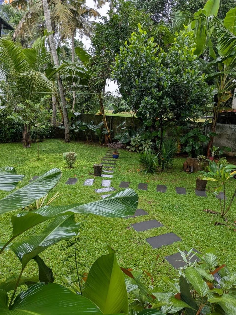 Day, Natural landscape, Garden, Garden, Garden view