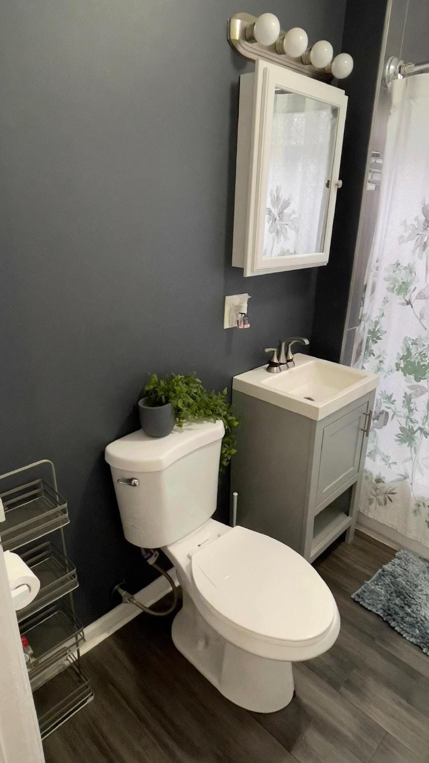 Toilet, Bathroom