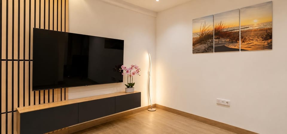 TV and multimedia