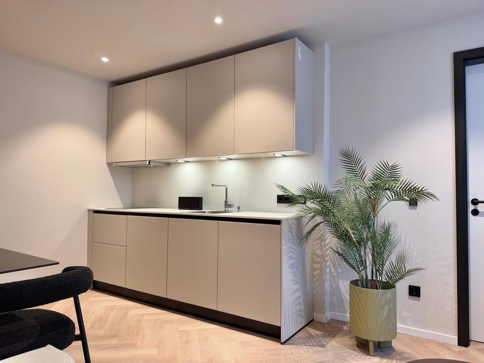 Kitchen or kitchenette, kitchen