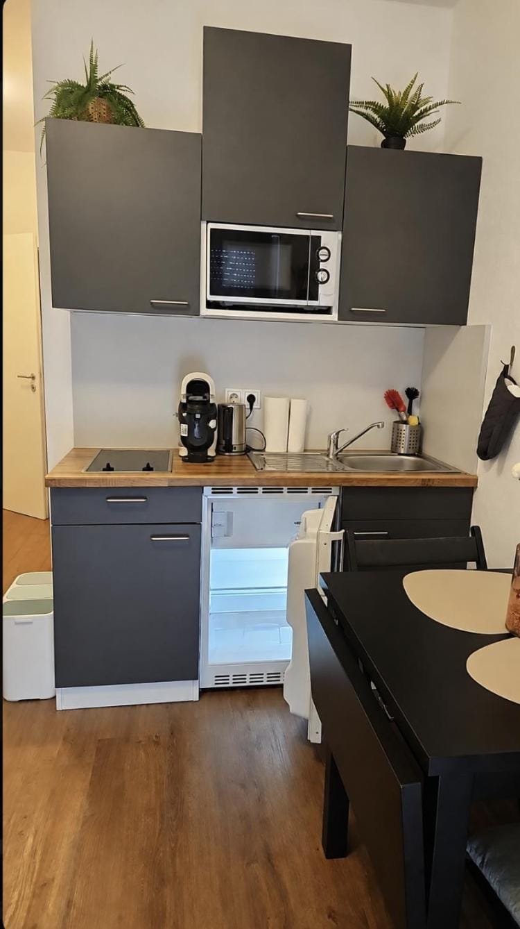 Imperial Baths Boutique Studio Apartment in Trier