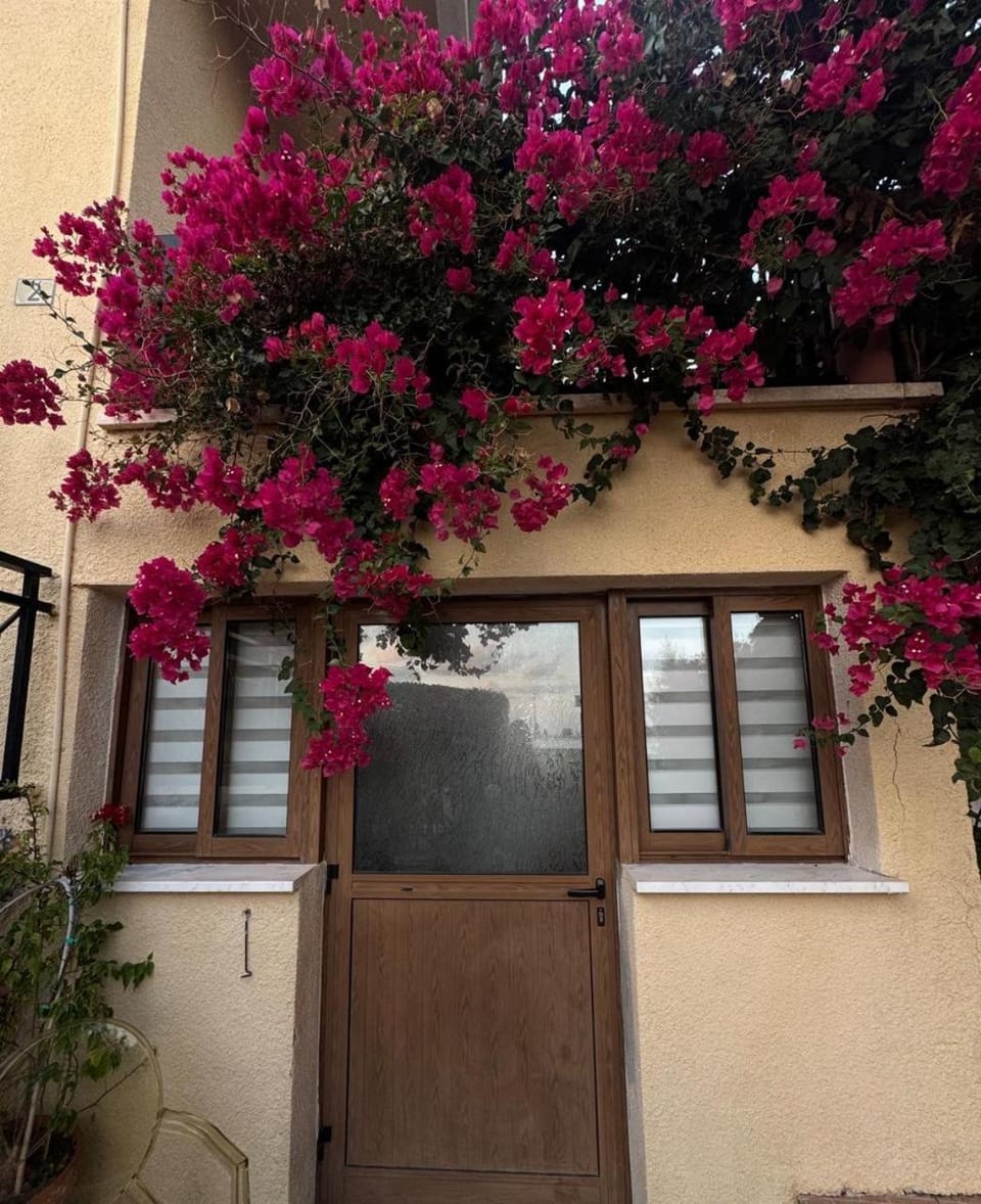 Bougainvillea Garden Apartment Apartment in Peyia