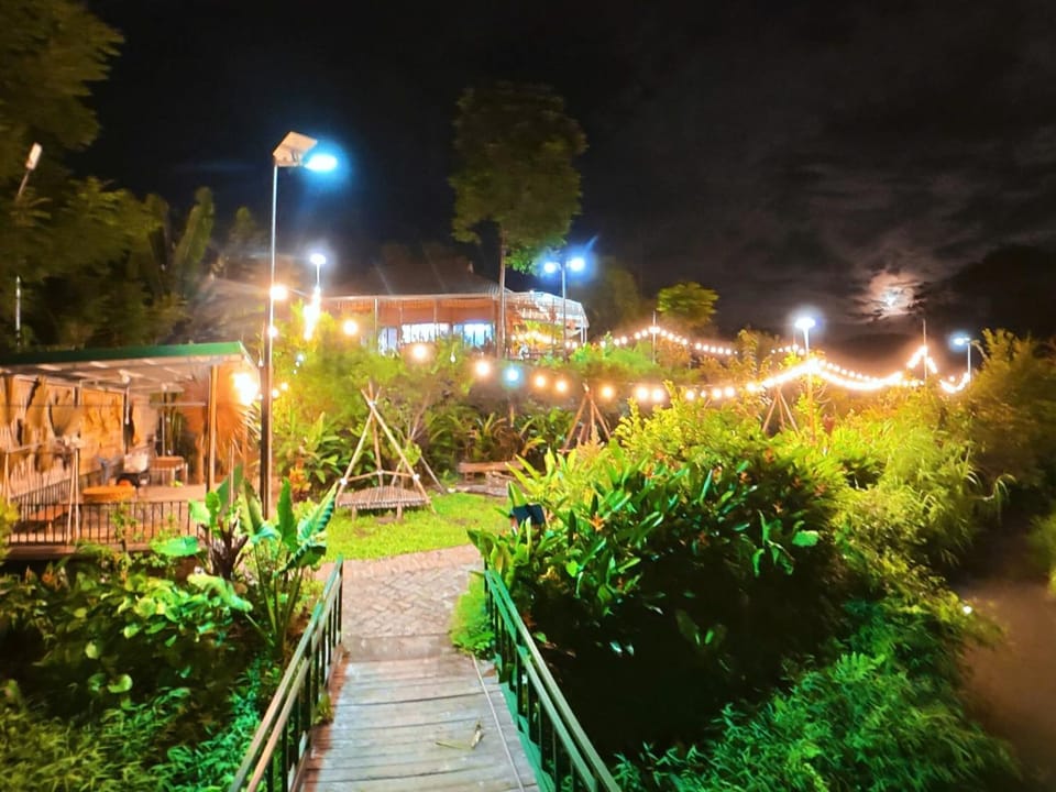Night, Natural landscape, Garden