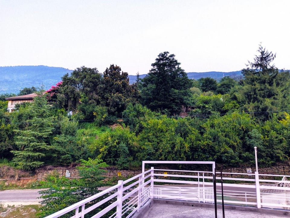 Cedar Crest Homestay House in Himachal Pradesh