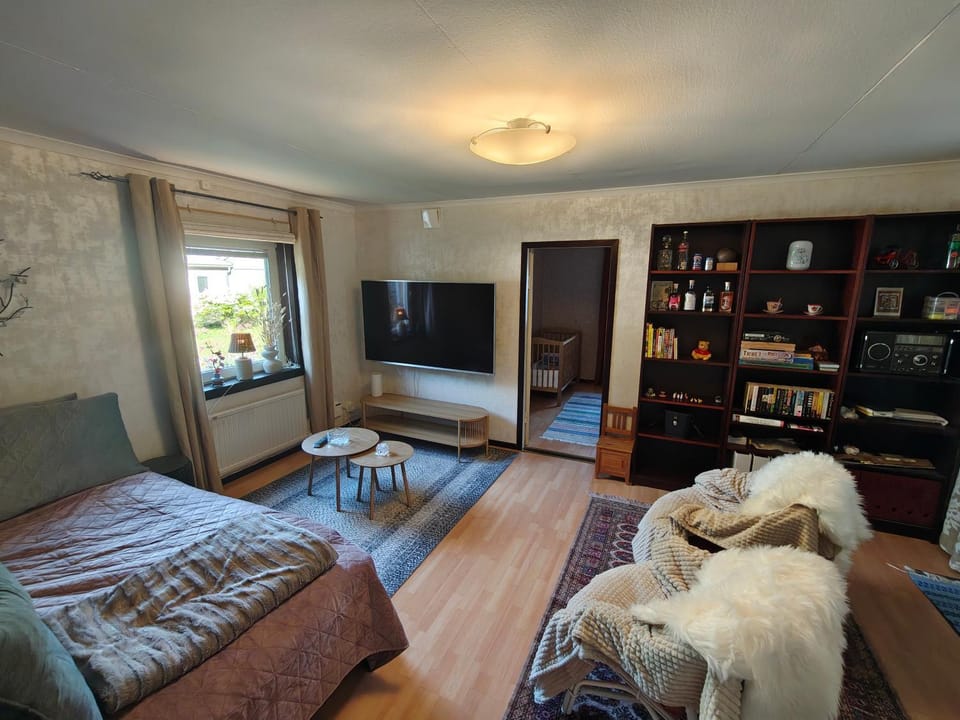 Communal lounge/ TV room, Bed, Library, TV and multimedia, Living room, Seating area, Evening entertainment, Bedroom