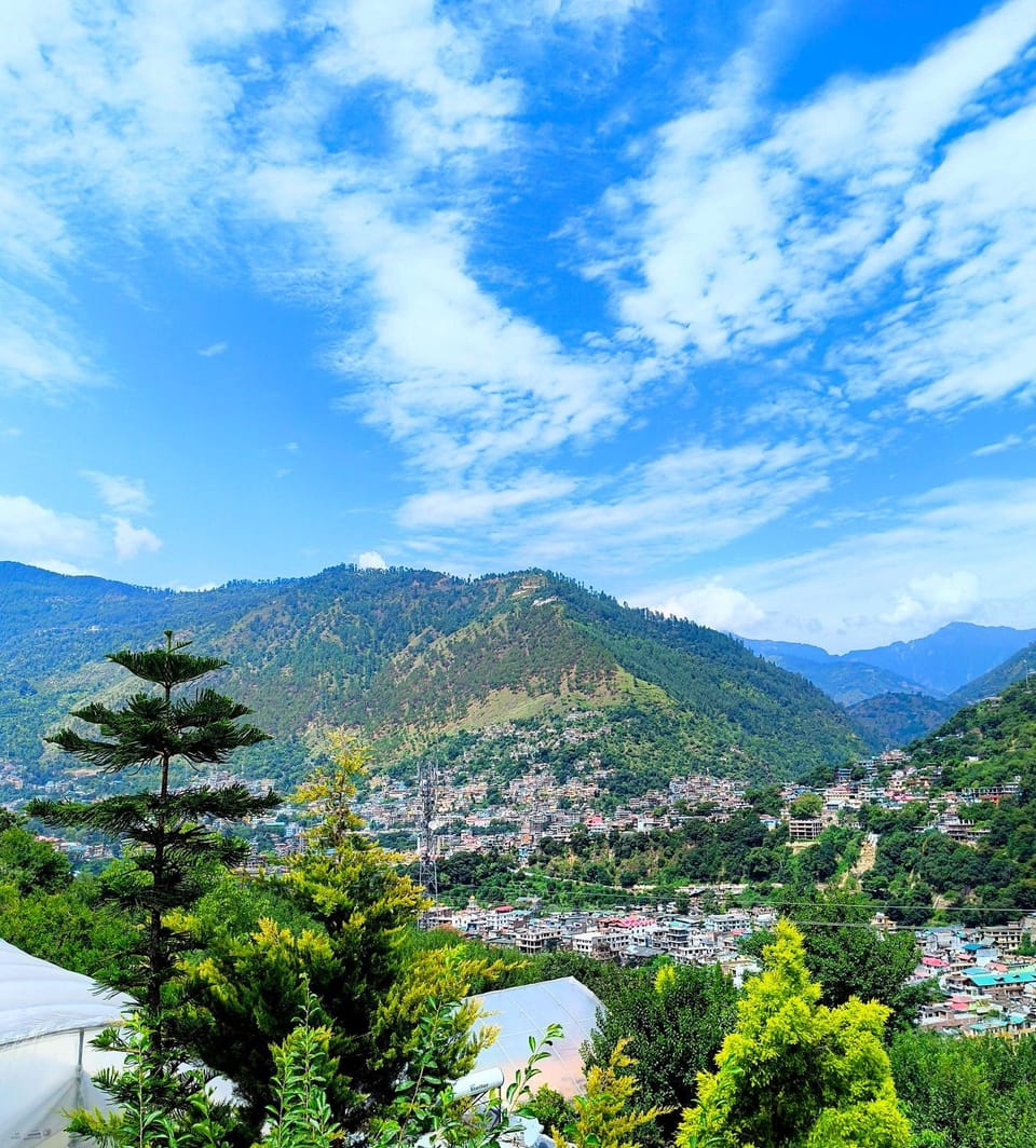 Cedar Crest Homestay House in Himachal Pradesh