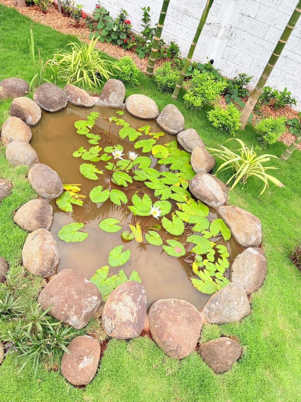 Léa Rose Villa Calm, Green, Private Entire Place Bed and Breakfast in Tamil Nadu