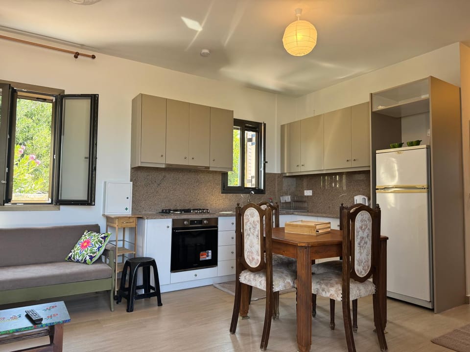 Kitchen or kitchenette, Dining area, stove