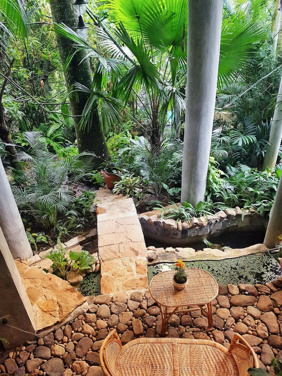Villa with Roof Top Plunge Pool and Sky Garden Apartment in Kandy