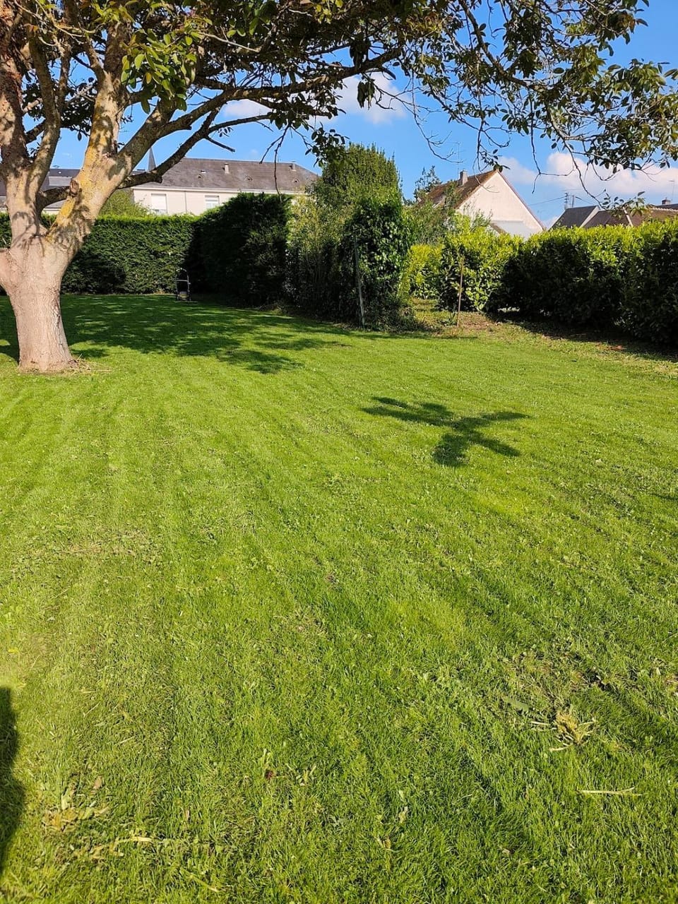 Spring, Natural landscape, Garden view