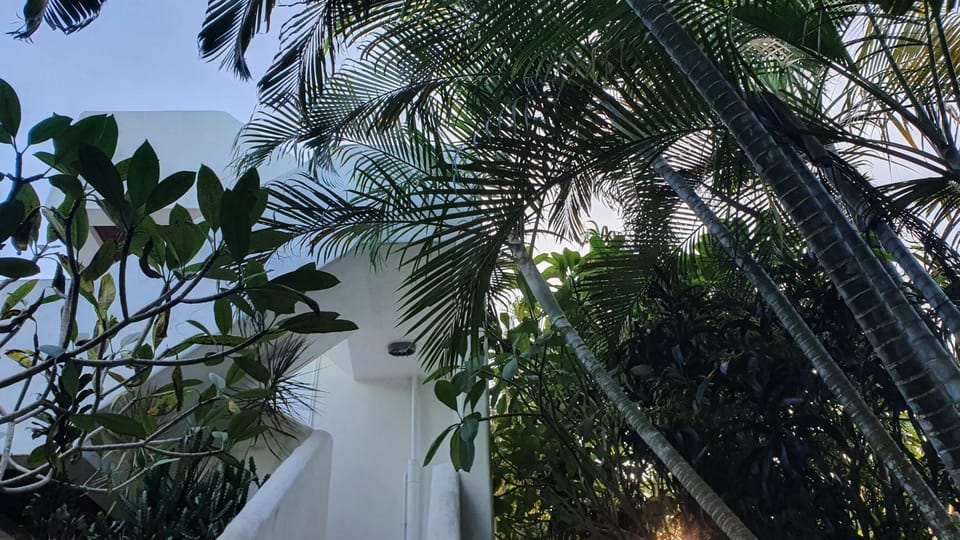 dilo tree lodge Hostel in Baravi
