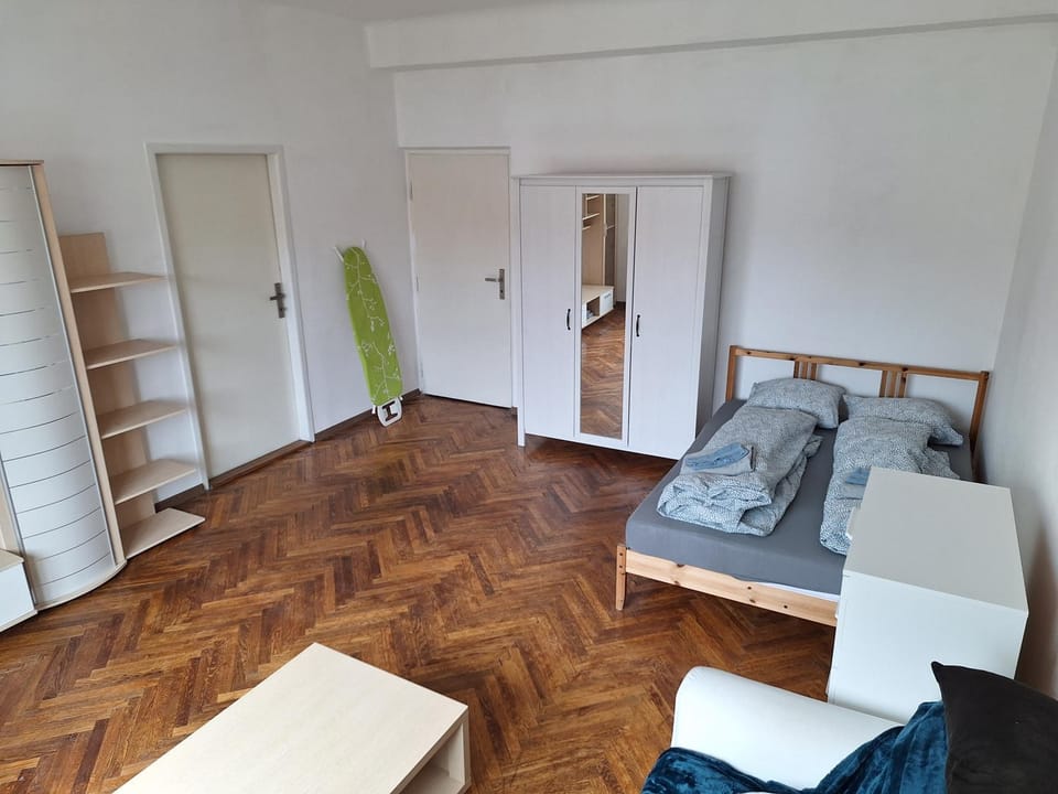 large flat with two bedrooms in the old town Apartment in Bratislava