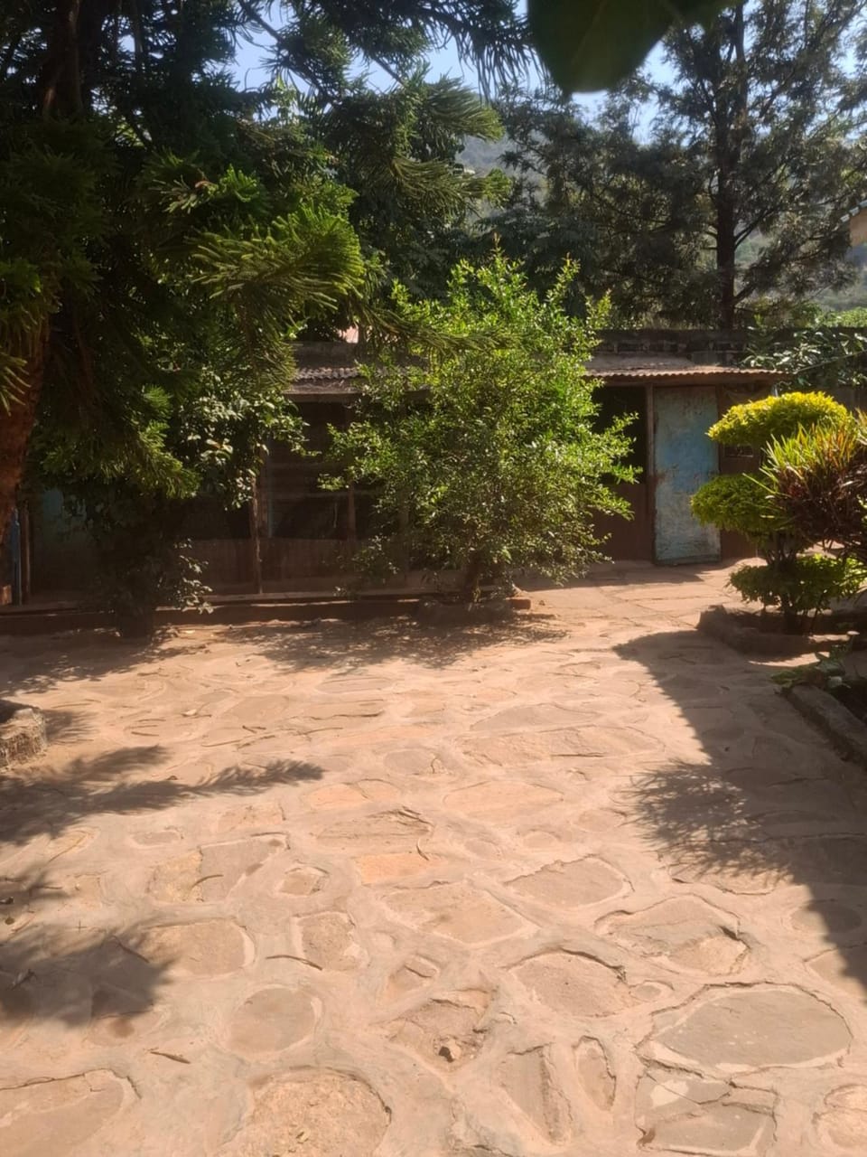 Day, Garden, Garden view