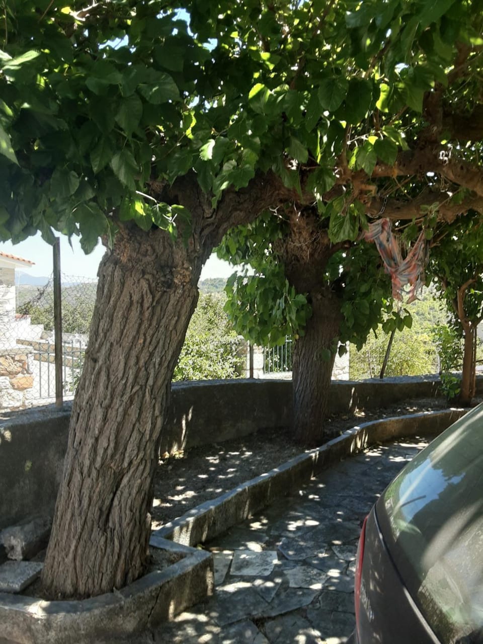 Inner courtyard view