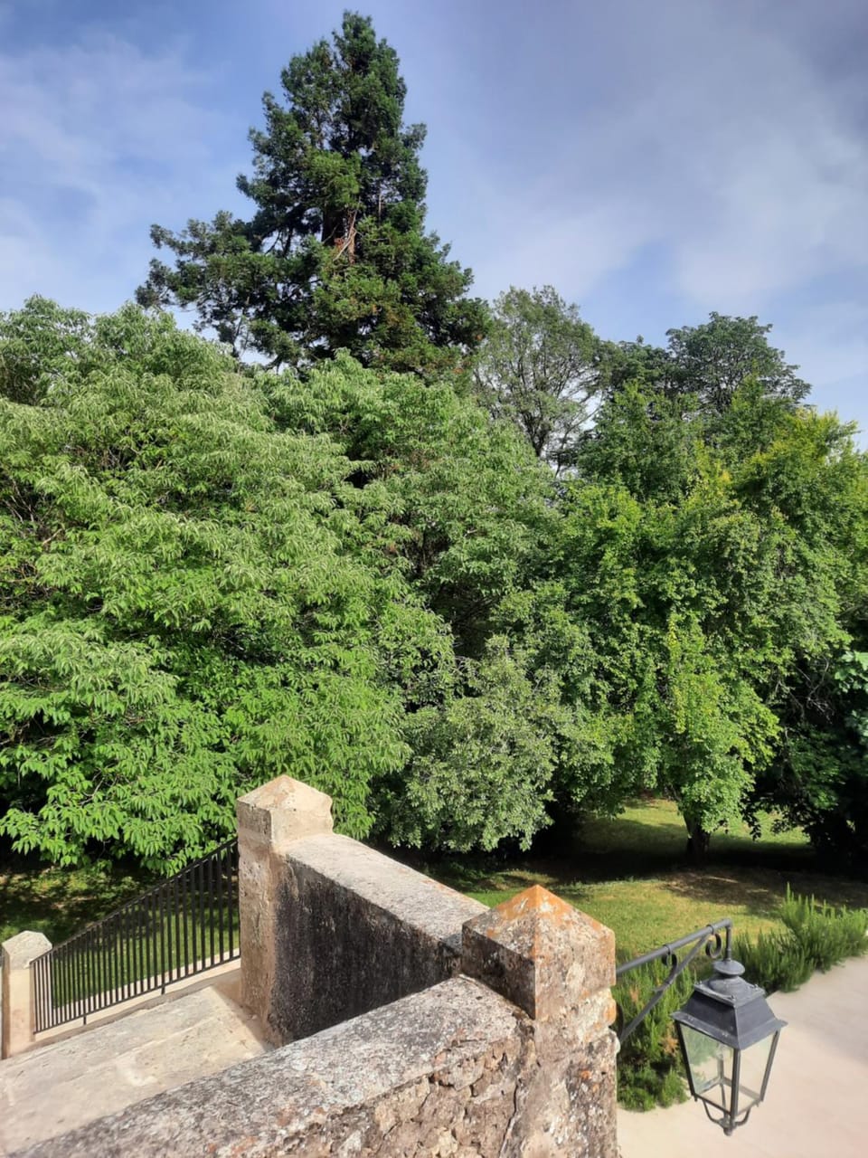 Garden view