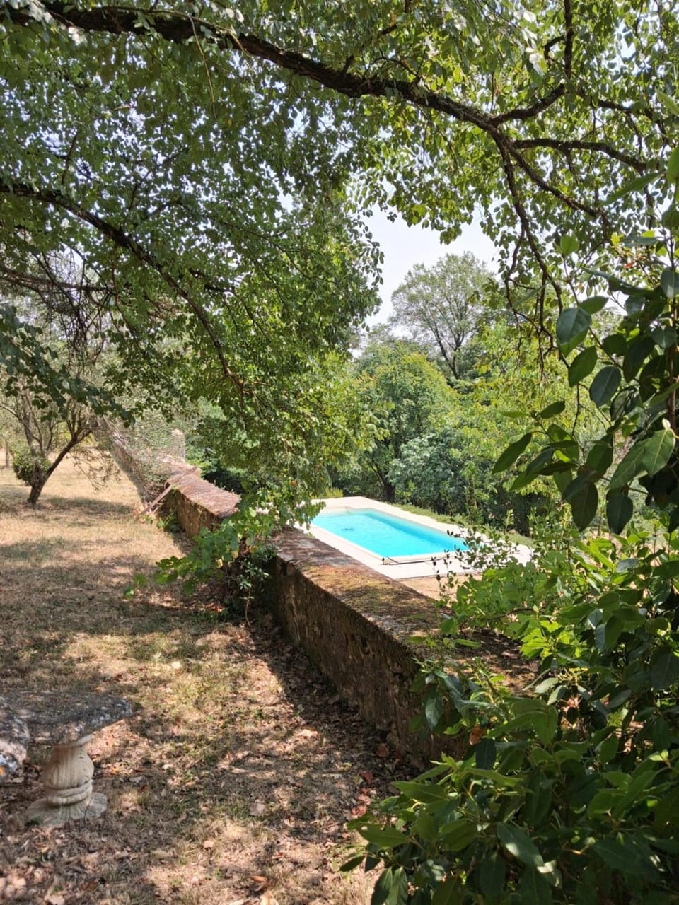 Pool view
