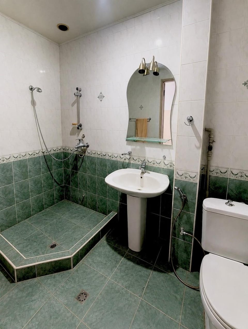 Shower, Toilet, Bathroom, Bath, bidet