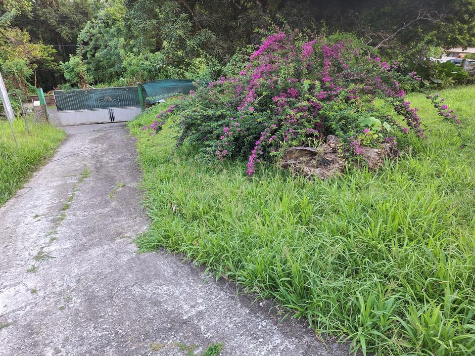 Îlot de verdure Apartment in Fort-de-France