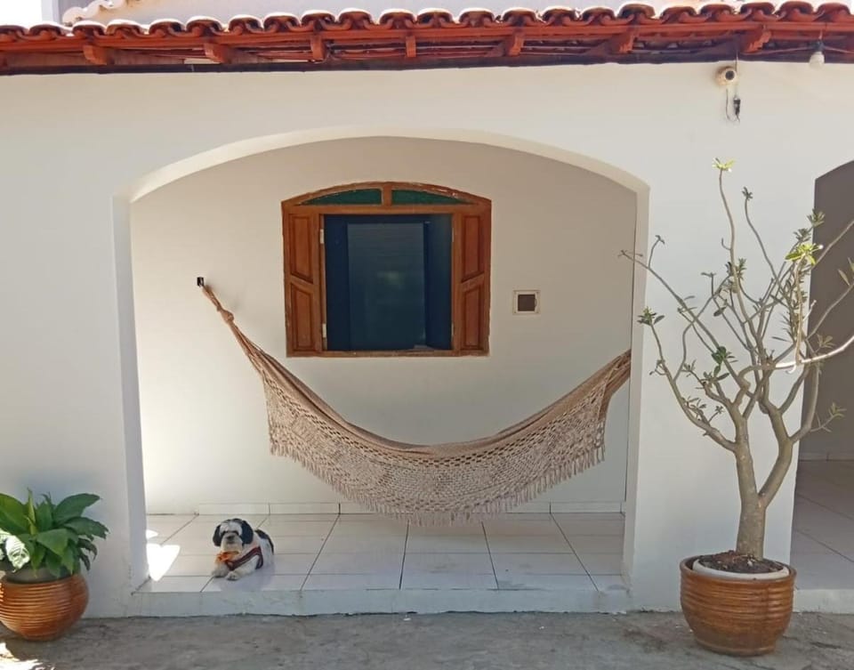 Patio, Entertainment