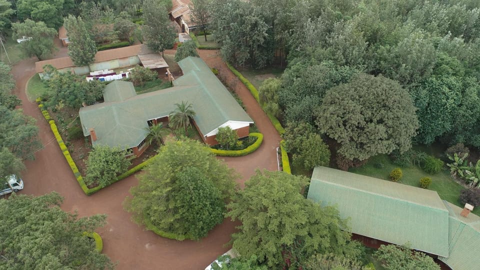 Natural landscape, Bird's eye view