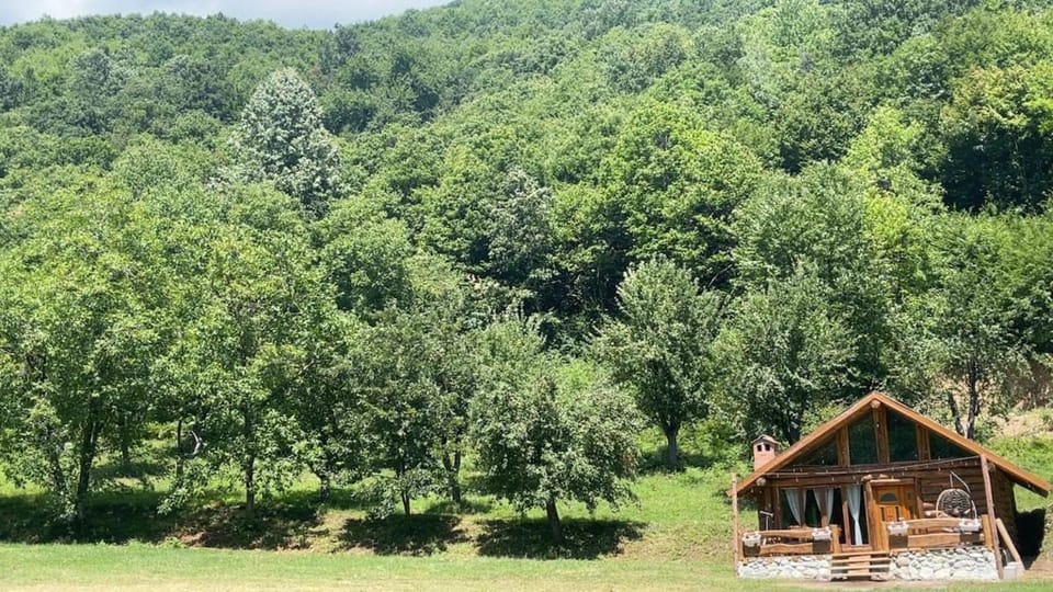 Villa Gryka Deçan Villa in Europe
