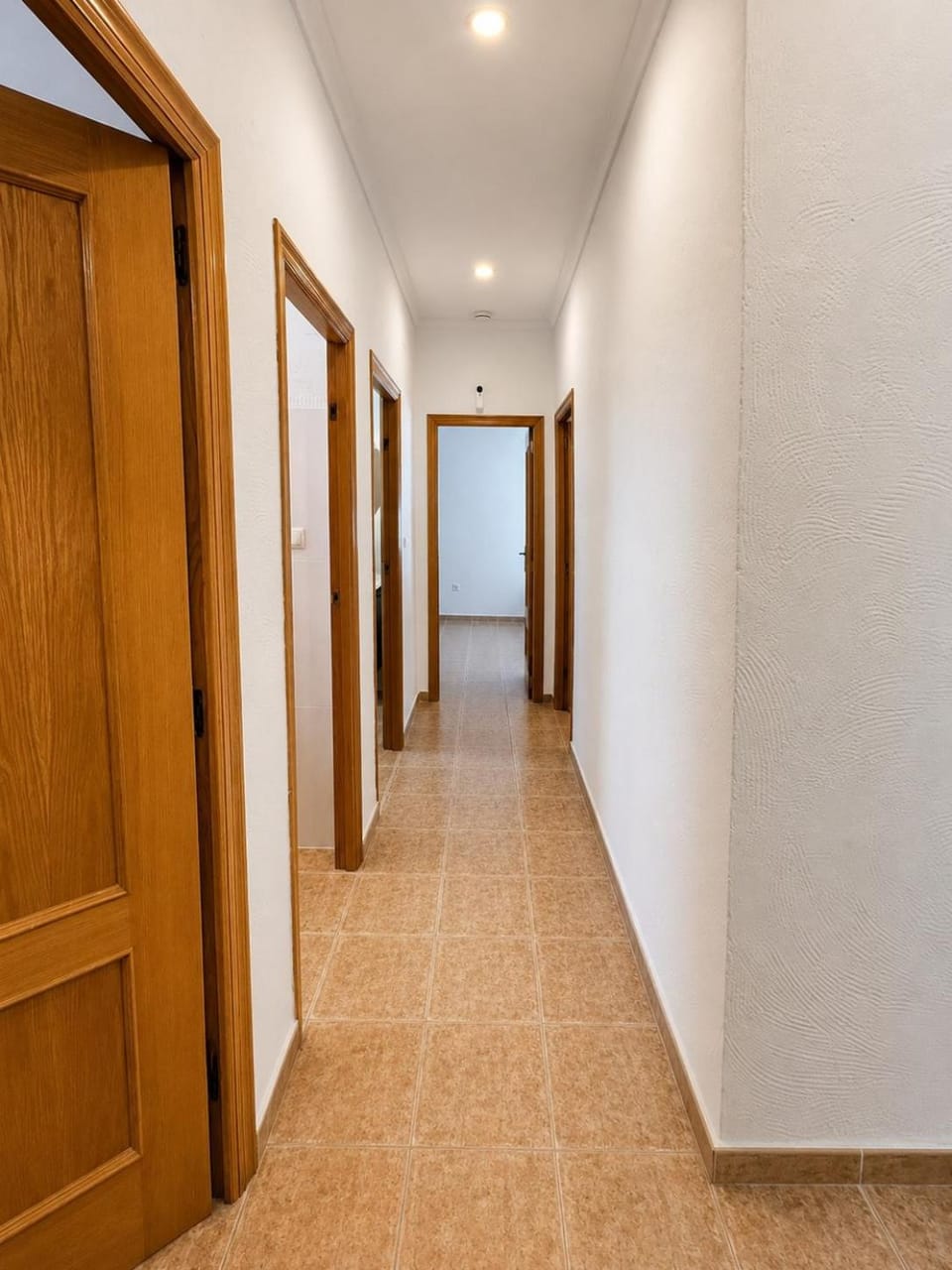 Casa Camí de Marco House in Alacantí