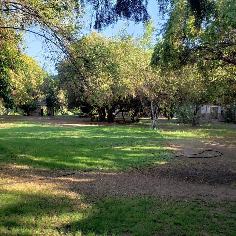Natural landscape, Garden, Garden view