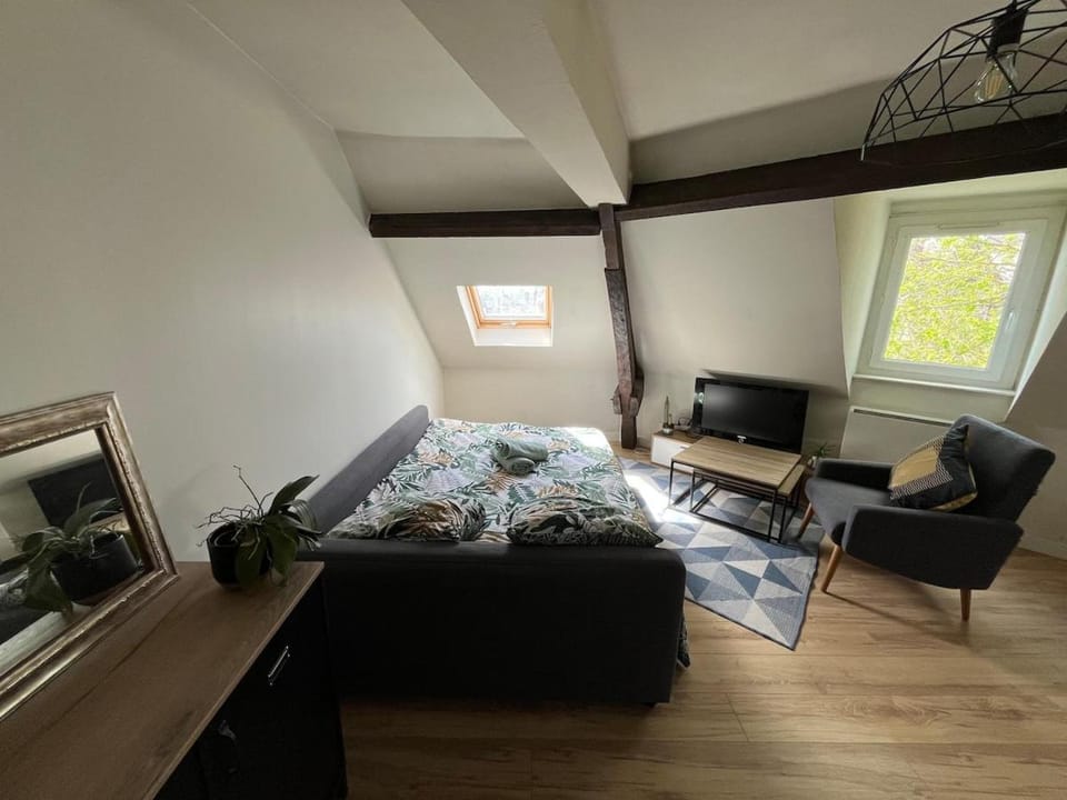 Bed, TV and multimedia, Seating area