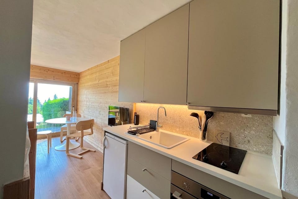 Studio with Mont Blanc view terrace and garden Apartment in Combloux