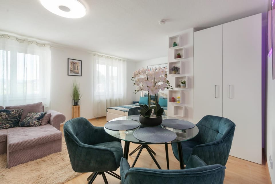 Appartement Weiss Apartment in Riehen
