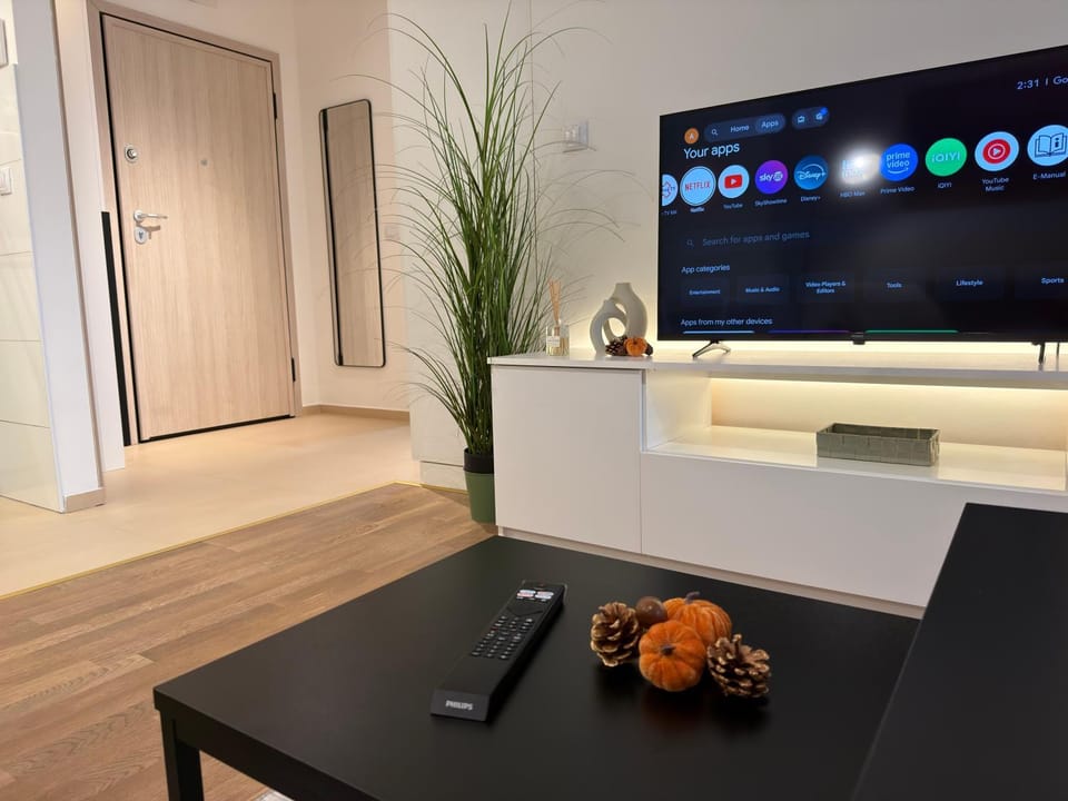 TV and multimedia
