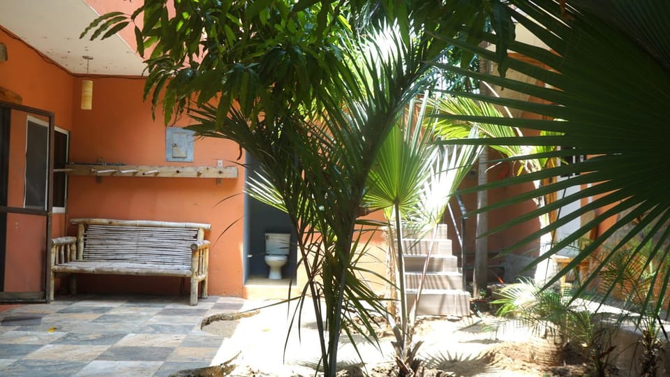 Patio, Day, Garden, Garden view, Inner courtyard view