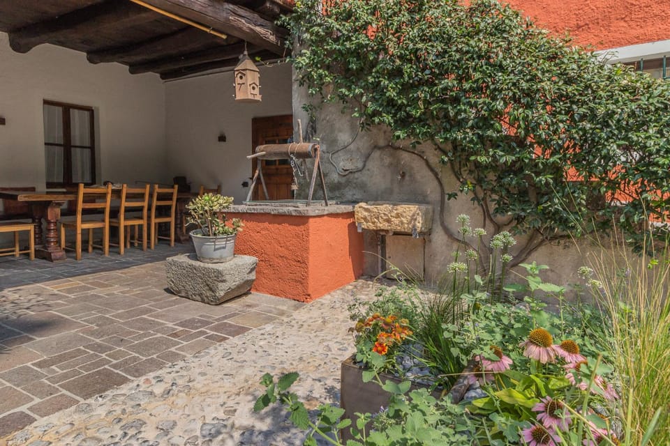 Spring, Garden, Garden view