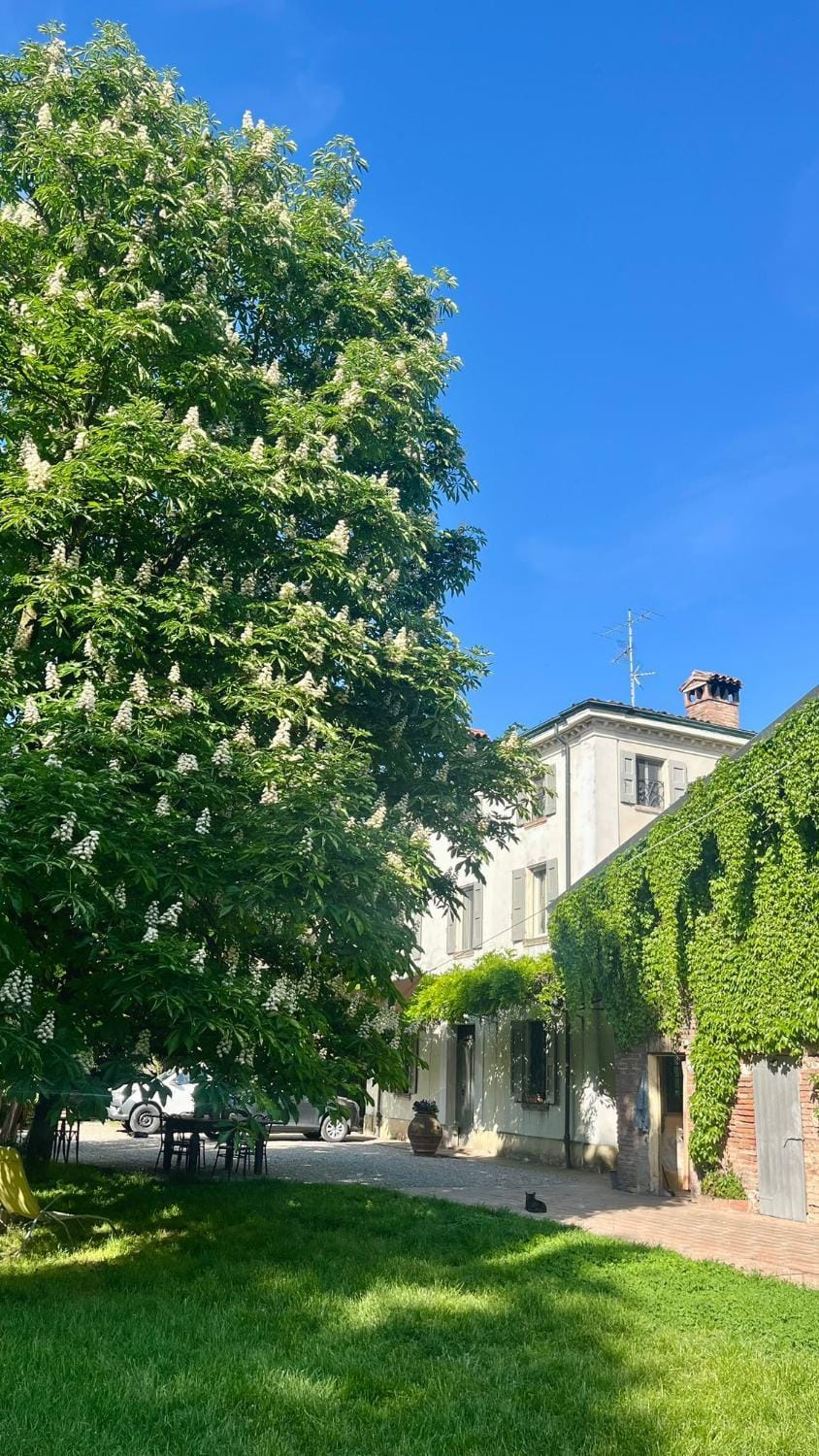 Property building, Natural landscape, Garden, Garden view