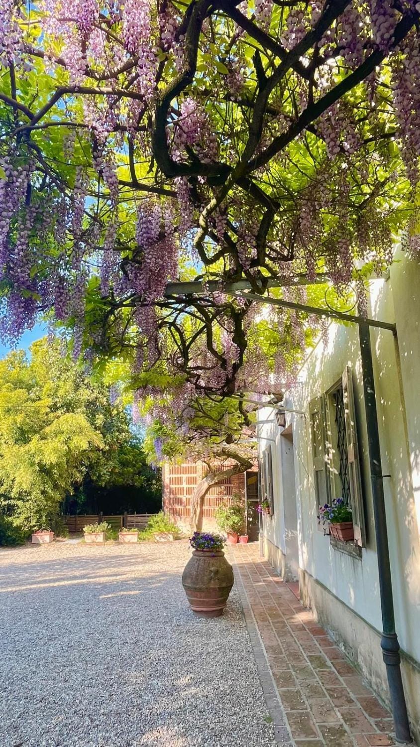 Spring, Garden, Garden view