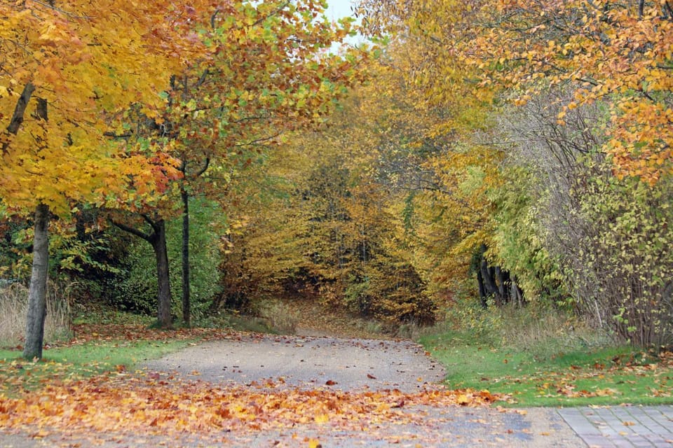 Garden, Decorative detail